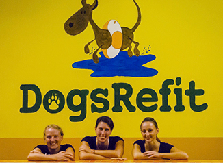 DogsRefit - Physiotherapie für Hunde
